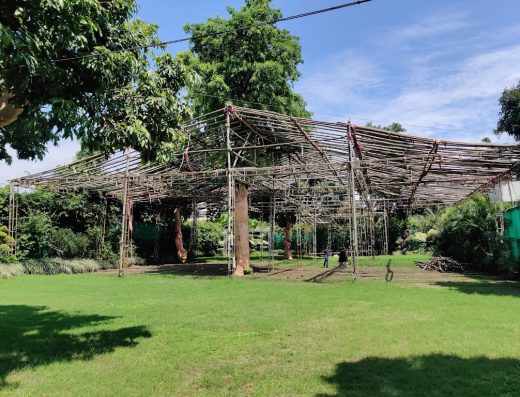 Royal Doonga Garden