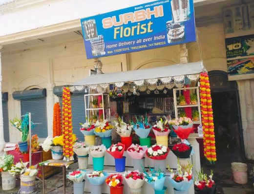 Surbhi florist