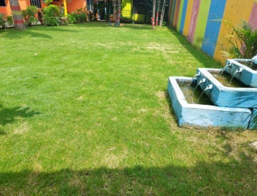 Party Hall and Lawn