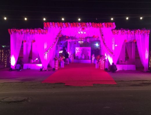 Walia Farms | Chand Walia Garden