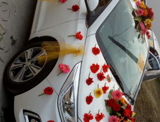 Haryana Florist