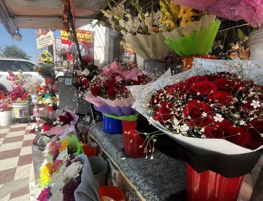 Rashi Florist Vasant vihar uk07