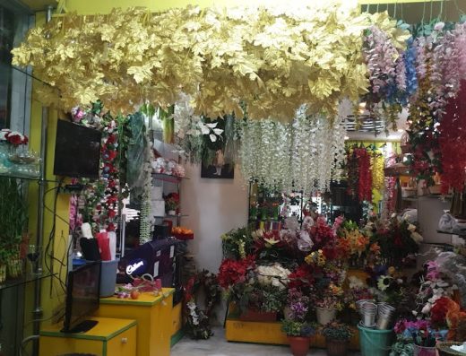Petals Gallery