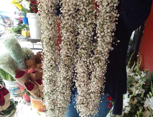 Green Petals Florist