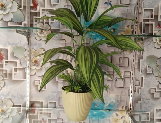 Green Petals Florist