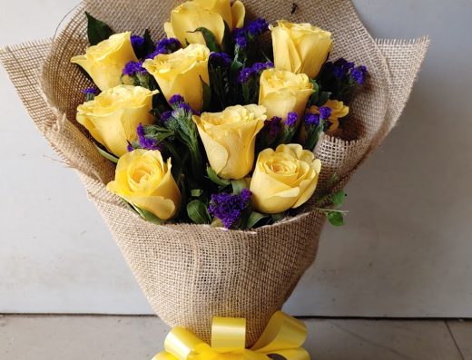FernsNpetals