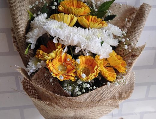 FernsNpetals