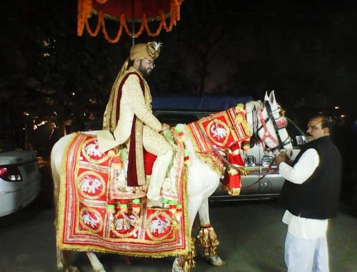 Raja Band
