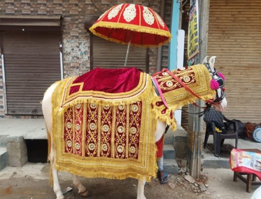 Bharat Band